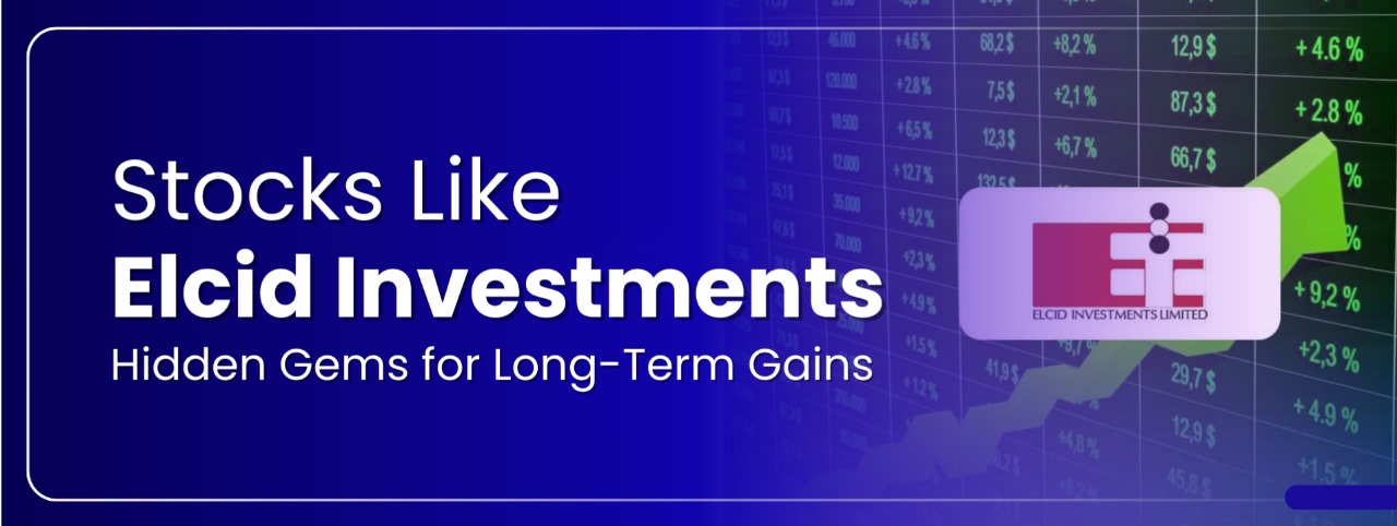 Stocks Like Elcid Investments Hidden Gems for Long Term Gains